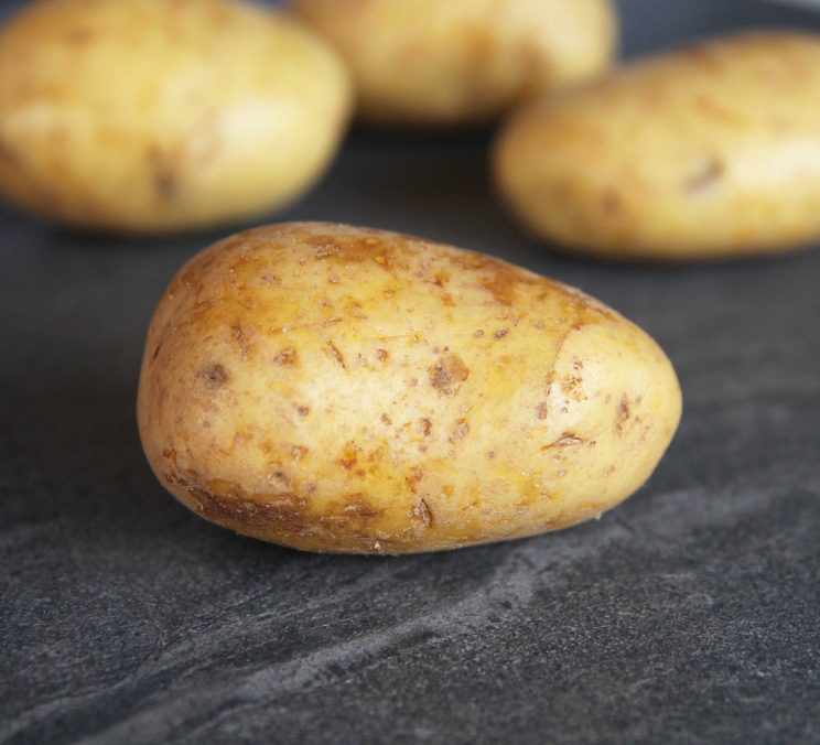 close up shot of raw potato with 3 more blurred in the background