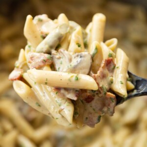 closeup shot ofpasta on serving spoon with pot blurred in background