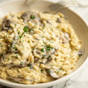 orzo in white bowl garnished with parsley with two forks resting on bowl