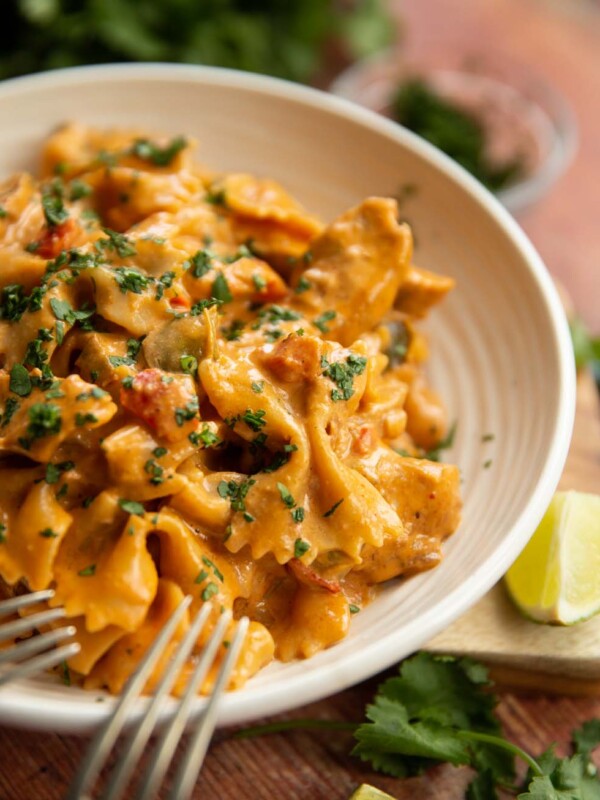 closeup shot of pasta in white bowl garnished with coriander