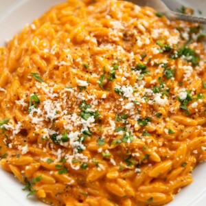 close up shot of orzo with 'nduja in large white bowl with parsley and parmesan