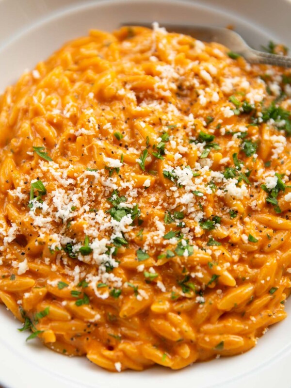 close up shot of orzo with 'nduja in large white bowl with parsley and parmesan