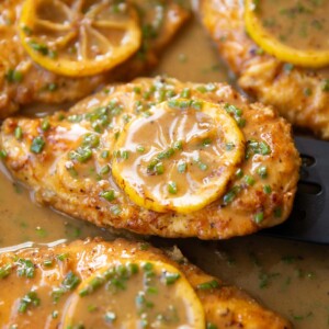 close up shot of chicken francese in large pan with lemon slice on top